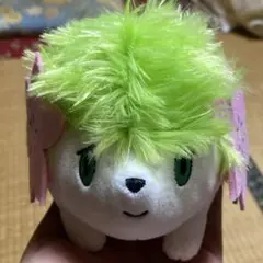 ポケットモンスター シェイミー