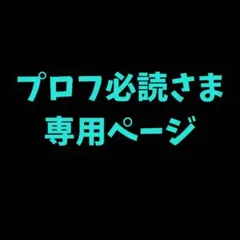 プロフ必読様 オーダー専用ページ