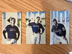 日本ハムファイターズシール3枚セット