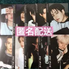 【未開封】TREASURE CD LOVE PULSE メンバー別 10種セット