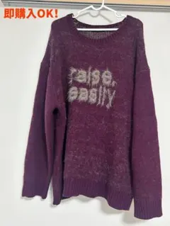 JEANASISの「5G floatロゴBIGプルオーバー」