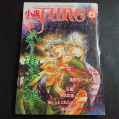 JUNE ボーイズラブ雑誌  1980〜90年代 JUNE ボーイズラブ雑誌 1980〜90年代 JUNE ボーイズラブ雑誌