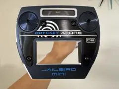 jailbird