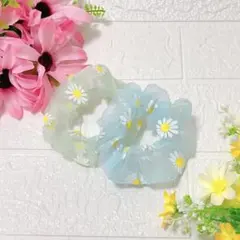 【新品】マーガレット オーガンジー シュシュ 2点 セット ｜ シアー 春 夏