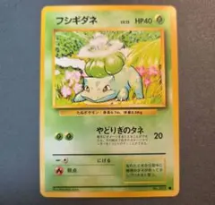 旧裏　フシギダネ　②