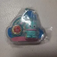 ハンギョドン★キーホルダー(201)