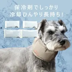 試着のみIDOG ICE HOLD 大型犬　ネッククーラー 保冷剤付 Lサイズのサムネイル