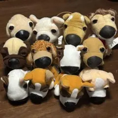 THE DOG ぬいぐるみ マスコット12匹セット