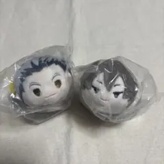 もちもちマスコット　ハイキュー　木兎光太郎、木場秋紀セット