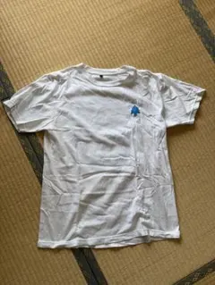 SEOUL FOREST CLIMBING