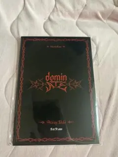 StrayKids POSTCARD BOOK dominATE リノ