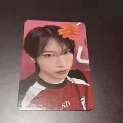 ホームレース　ビンファ トレカ