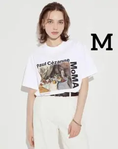 ユニクロ　MoMA アート　アイコンズ　UT (半袖) M
