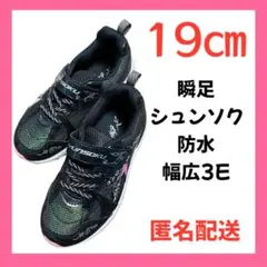 Item thumbnail for item 8253145e-0016-42db-a9a8-17ba36977cd3