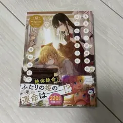 ある日、お姫様になってしまった件について 12巻