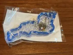 琵琶湖キーホルダー 滋賀レイクス