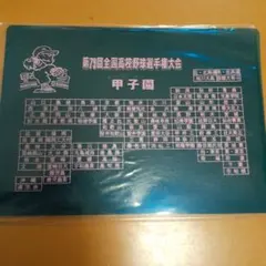 第79回全国高校野球選手権大会 下敷き 甲子園