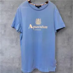 【美品】Aquascutum アクアスキュータム Tシャツ 水色 M