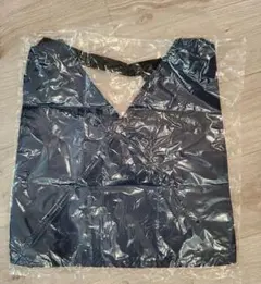 Item thumbnail for item c67cf771-b58d-49da-a5c5-67666f93114d