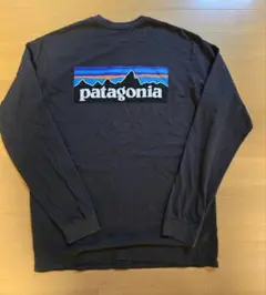 patagonia パタゴニア 長袖Tシャツ M