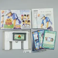 ゲームボーイアドバンス　テニスの王子様　エイムアットザビクトリー　＃5489
