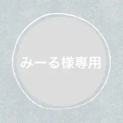 みーる様 リクエスト2点 まとめ商品　amiibo