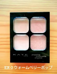 KATE ポッピングシルエットシャドウ EX-3