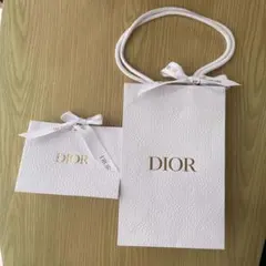 Dior ギフトバッグ 大小セット