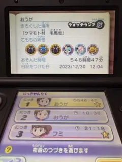 任天堂3DS 妖怪ウォッチ真打 カセット