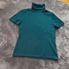 Item thumbnail for item 77215be9-6fde-44a3-b73b-ec229d2db7be