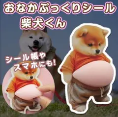 おなか ぷにぷに シール 柴犬 3D 立体 ステッカー 1枚 ぷっくりお腹 いぬ
