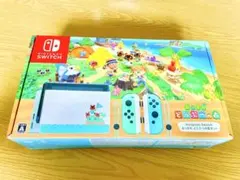 Nintendo Switch本体 どうぶつの森ver 初期化済み