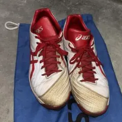 Item thumbnail for item c924bb10-da62-4ba3-8002-be2b9d64a054