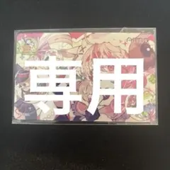 専用酒匹　シイナ様 リクエスト 2点 まとめ商品