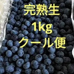 ☆令和8年 生ブルーベリー☆農薬不使用 2㌔ もんち様専用 - メルカリ