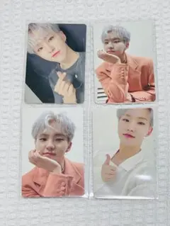 SEVENTEEN セブチ 舞い落ちる花びら ホシ トレカ