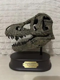 DINOWORLD】ティラノサウルス 頭骨化石 ジュラシックパーク - メルカリ