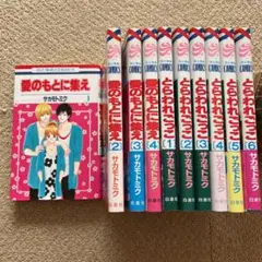 専用です☆とらわれごっこ全巻