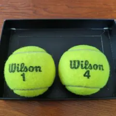 2026年最新】Wilson テニス ボールの人気アイテム - メルカリ