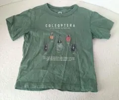 ユニクロ 昆虫 Tシャツ 110 ダークグリーン かぶとむしのサムネイル