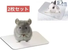 Item thumbnail for item 6d32b95c-428b-473c-928e-96166f9162bc