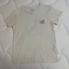 ☆*☆様 【美品】【激レア/ハワイ限定】パタゴニア ハレイワ Tシャツ バックプのサムネイル