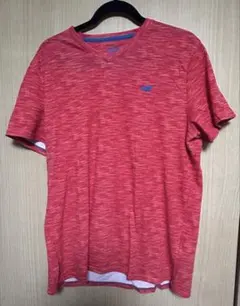 ホリスター Tシャツ