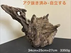 流木 ブランチウッド ホーンウッド 大型 34cm