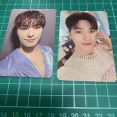 SEVENTEEN CARATLAND DINO