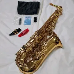 レアカラー J.Michael アルトサックス ブラック ツートーン 管楽器 AL-900B | Jマイケル | マックコーポレーション