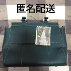 スザンヌ しまむら 2way ショルダーバッグ コラボ 緑 グリーン 希少 レアのサムネイル