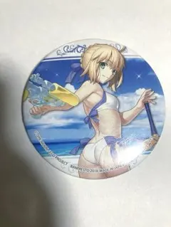 Fate FGO ぷちサバ缶バッジ アルトリア リリィ FGO Fate Fes 缶バッジ 2個 アルトリア・オルタ ランサー - メルカリ