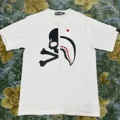 Item thumbnail for item 87e04f61-ca43-432c-aad0-1b93d57f10b0