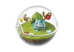 ポケモン　リーメント　テラリウム　フシギダネ